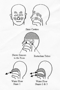 Neti Pot chart